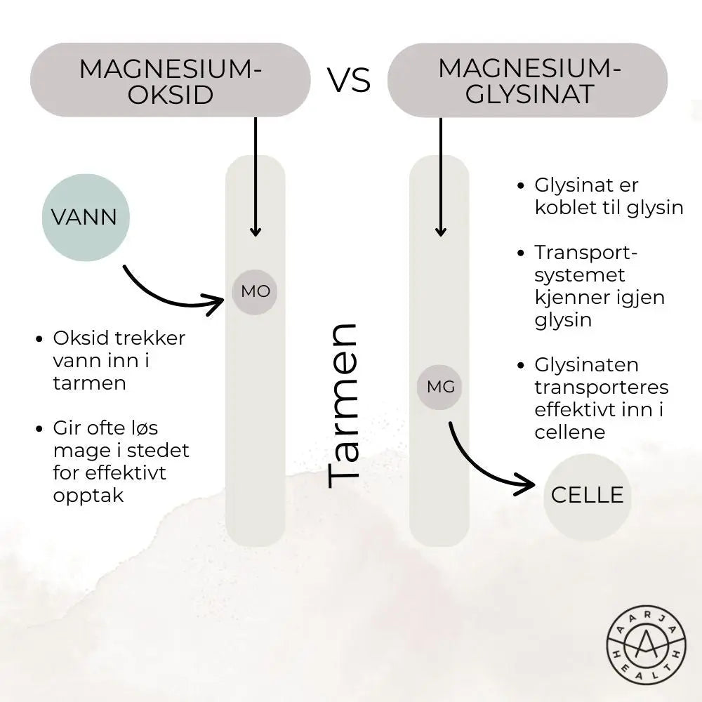 ZMA - MAGNESIUM GLYSINAT Aarja Health Norge