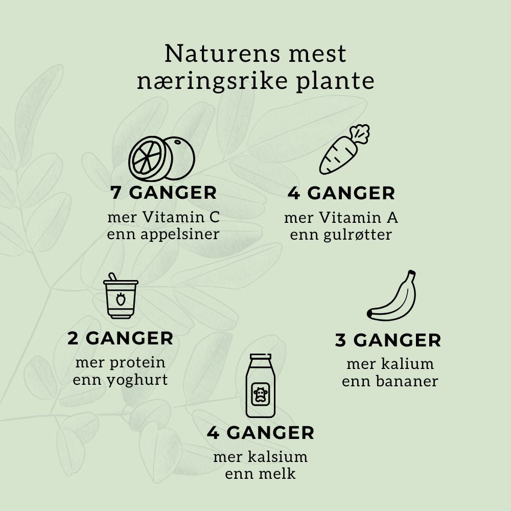 MORINGA (naturens multivitamin) Aarja Health Norge