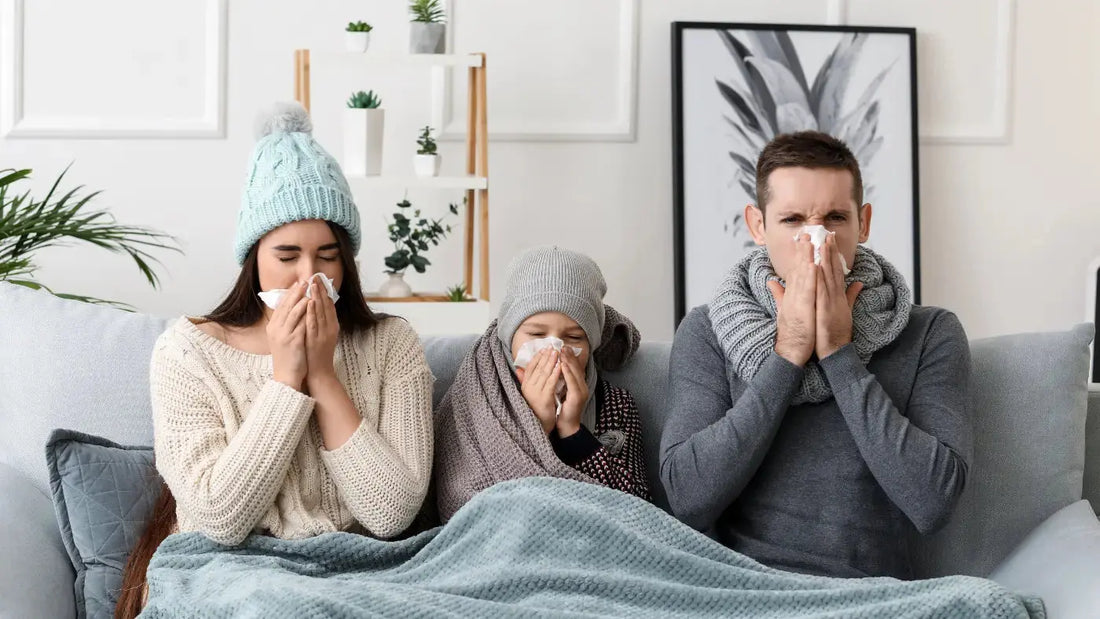 Har-influensasesongen-truffet-deg-hardt-i-år-Trippelboost-for-immunforsvaret-med-C-vitamin-Sink-og-Chaga Aarja Health Norge