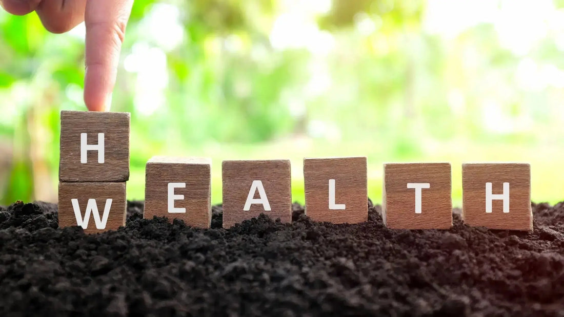 5-banebrytende-studier-om-kosttilskudd-og-helse-i-2025 Aarja Health Norge