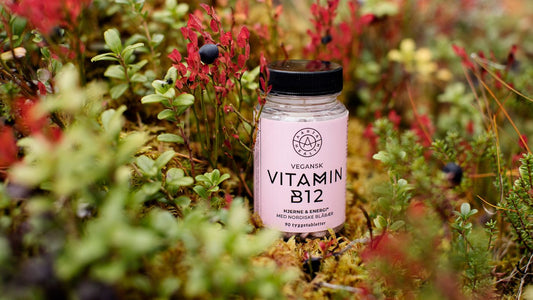 En rosa boks med vegansk Vitamin B12 står midt ute i naturen blant blåbærlyng, og det er sommer.