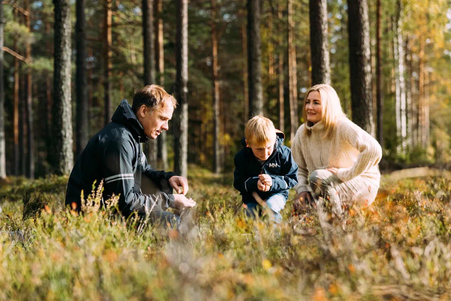 Guide til aktive ingrediensformer i kosttilskudd Aarja Health Norge