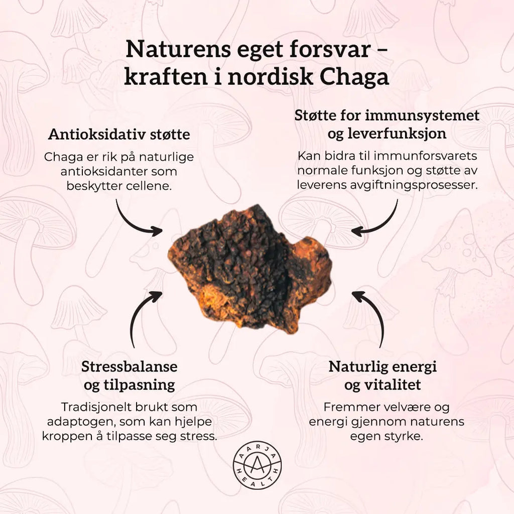 VITAMIN C 500, SINK & CHAGA Aarja Health