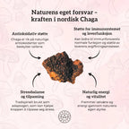 VITAMIN C 500, SINK & CHAGA Aarja Health