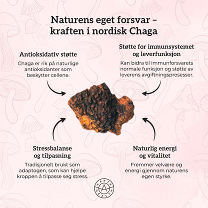 VITAMIN C 500, SINK & CHAGA