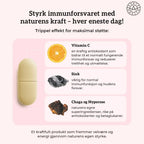 VITAMIN C 500, SINK & CHAGA Aarja Health
