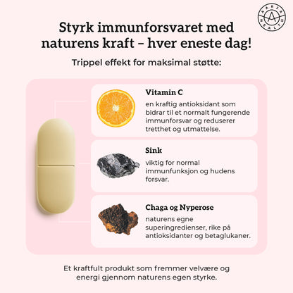 VITAMIN C 500, SINK & CHAGA