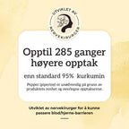 KURKUMIN, INGEFÆR & B12 Aarja Health