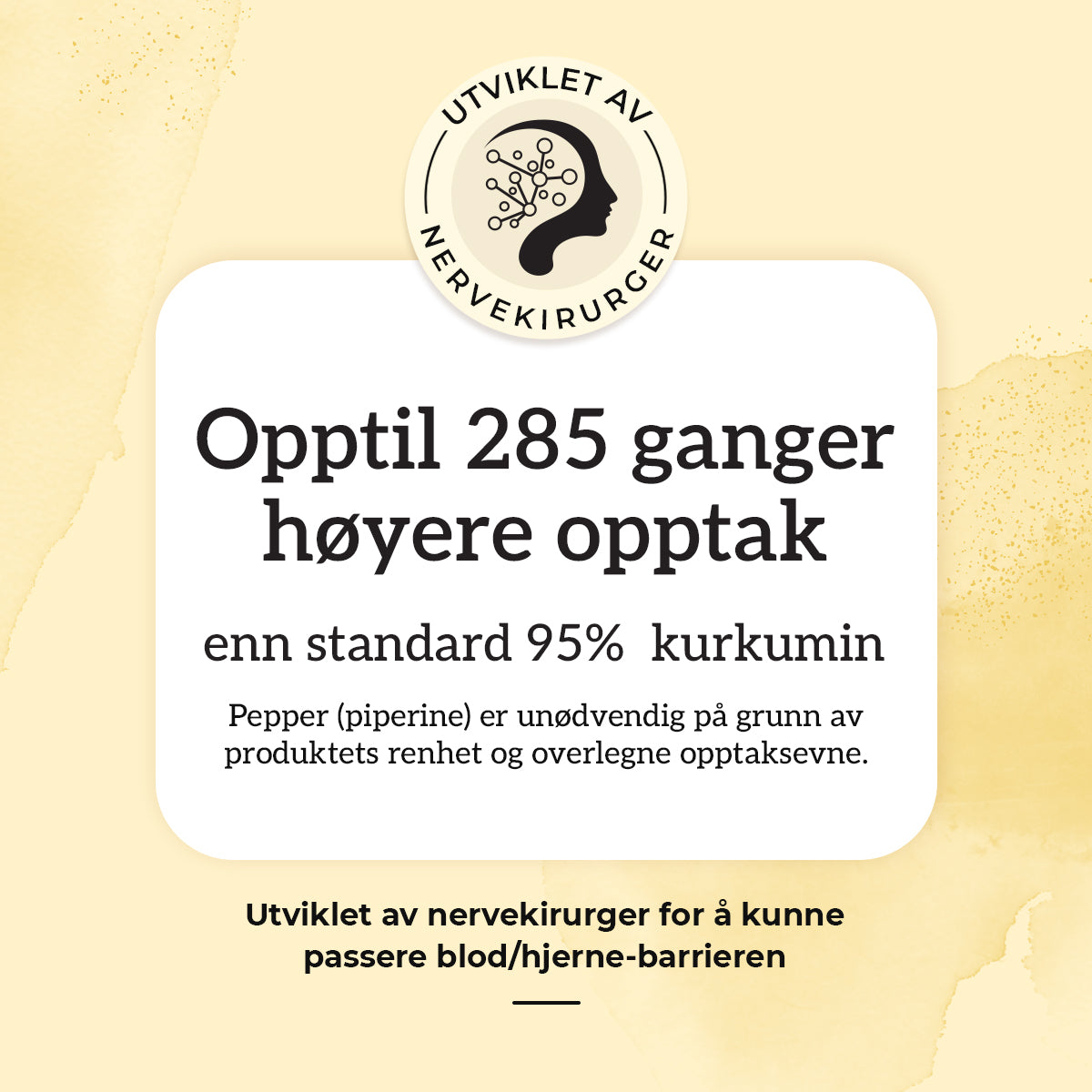 KURKUMIN, INGEFÆR & B12