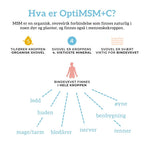 OPTIMSM®, C VITAMIN & BLÅBÆR Aarja Health