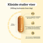 KURKUMIN, INGEFÆR & B12 Aarja Health