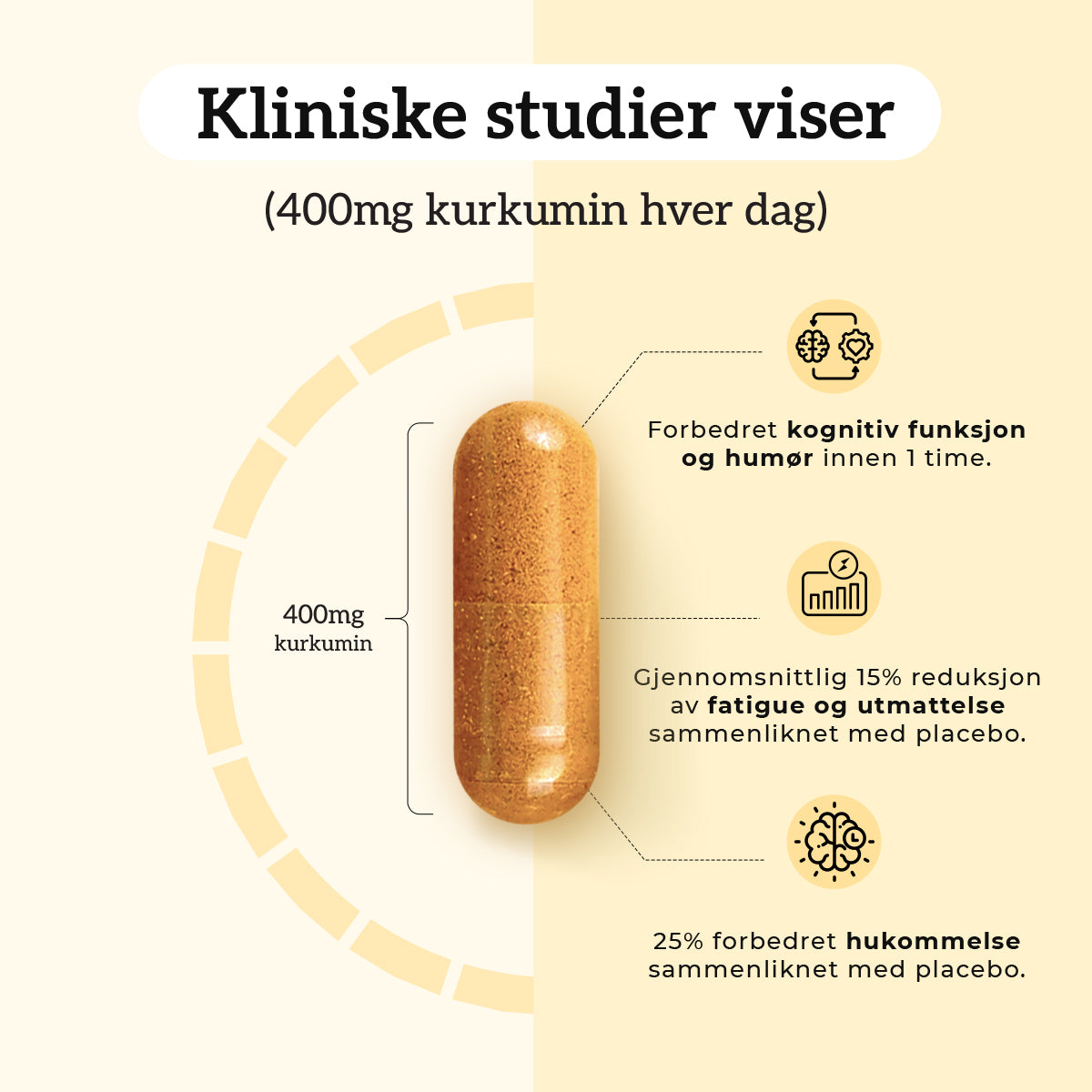 KURKUMIN, INGEFÆR & B12