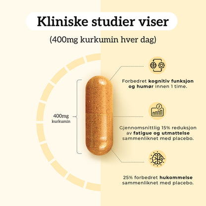 KURKUMIN, INGEFÆR & B12