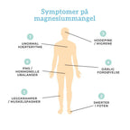 TRIPPEL MAGNESIUM, SINK & B6 Aarja Health