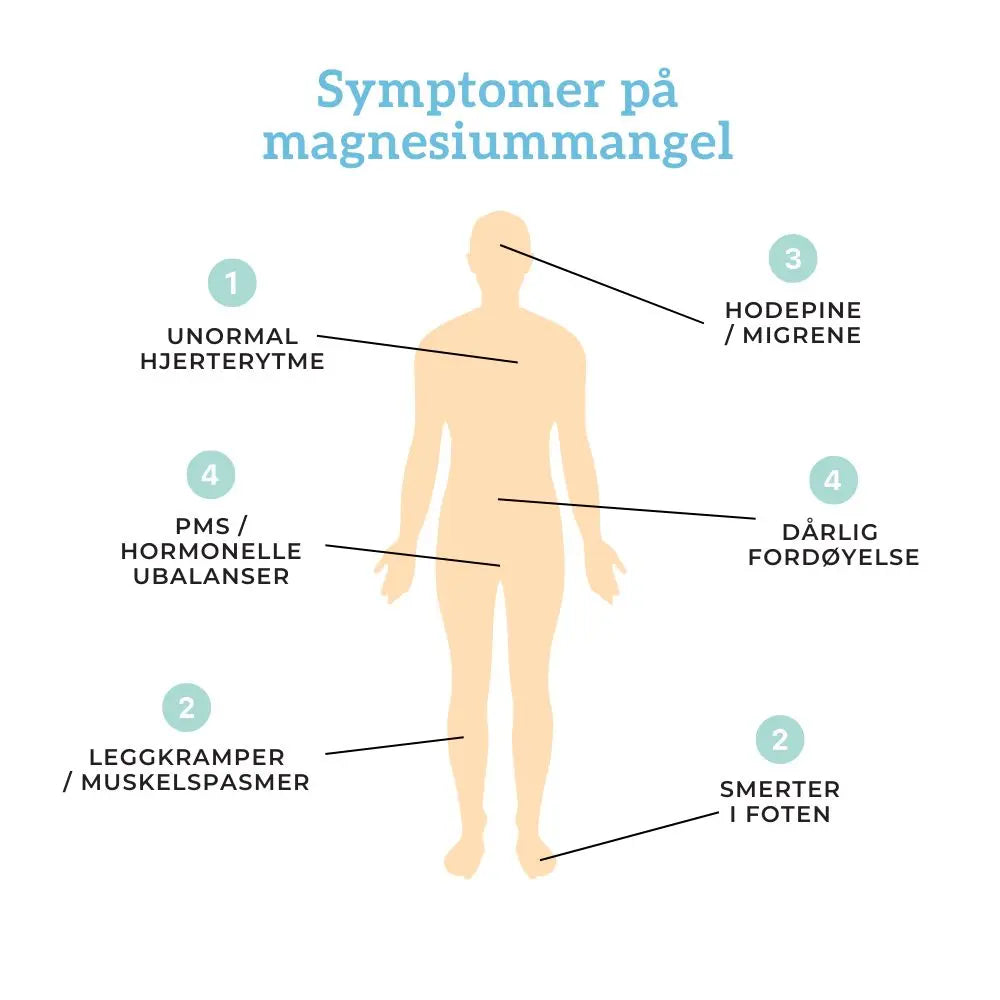 TRIPPEL MAGNESIUM, SINK & B6 Aarja Health