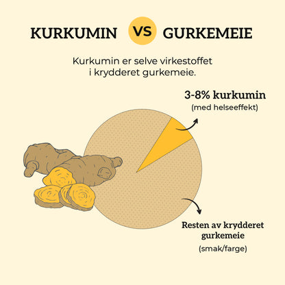 KURKUMIN, INGEFÆR & B12