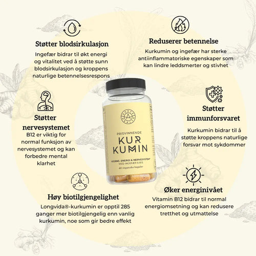 KURKUMIN, INGEFÆR & B12 Aarja Health