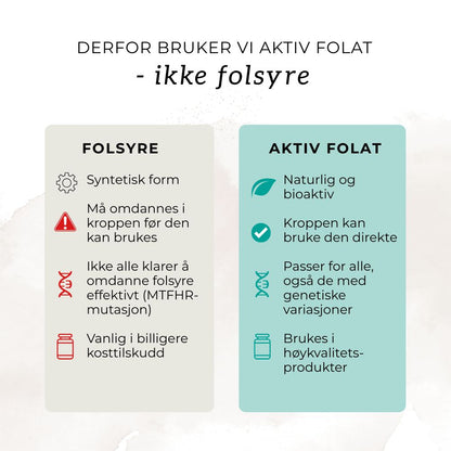 NATURLIG B12, B9 (FOLAT) & TYTTEBÆR