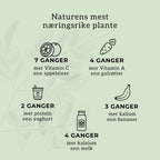 MORINGA (naturens multivitamin) Aarja Health Norge