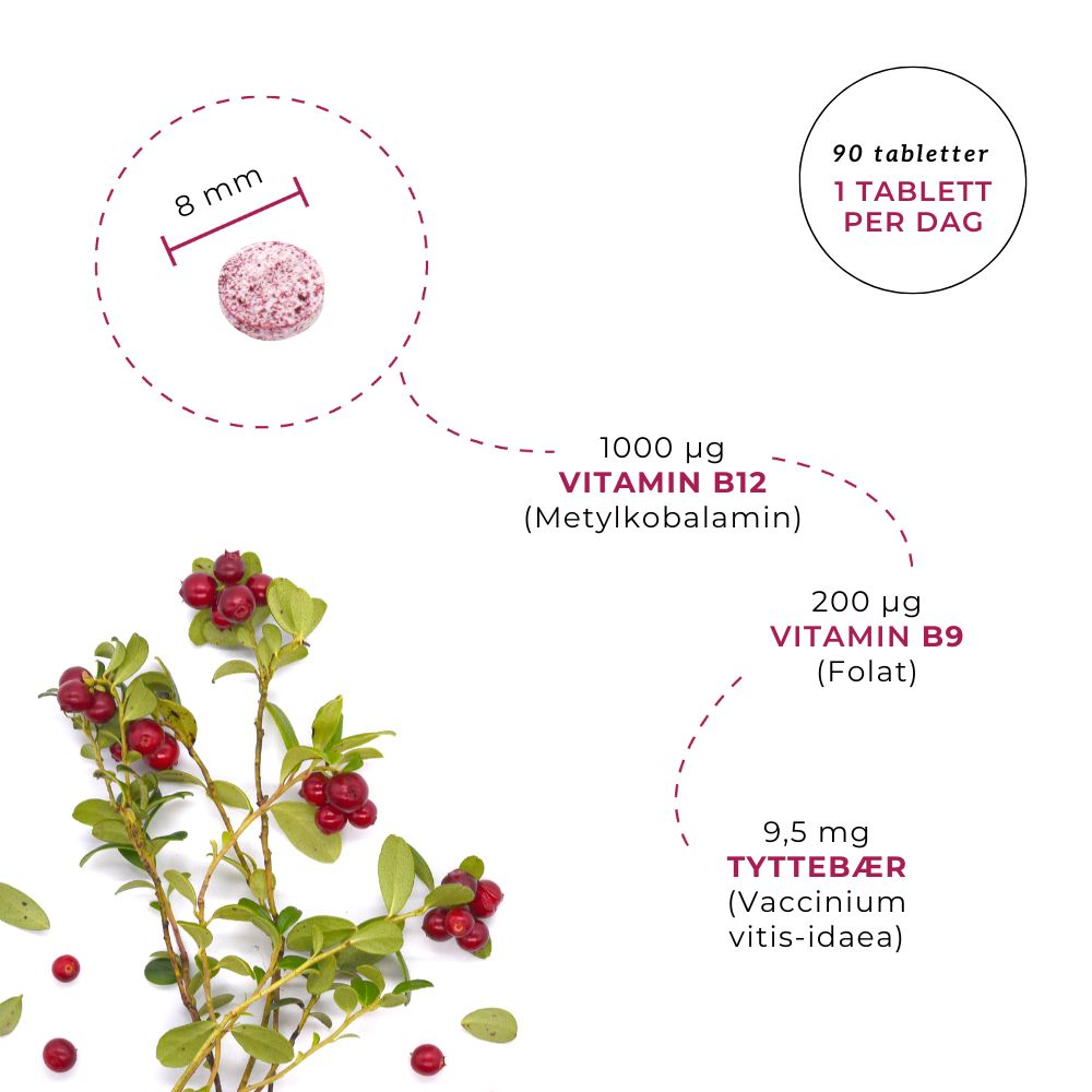 NATURLIG B12, B9 (FOLAT) & TYTTEBÆR