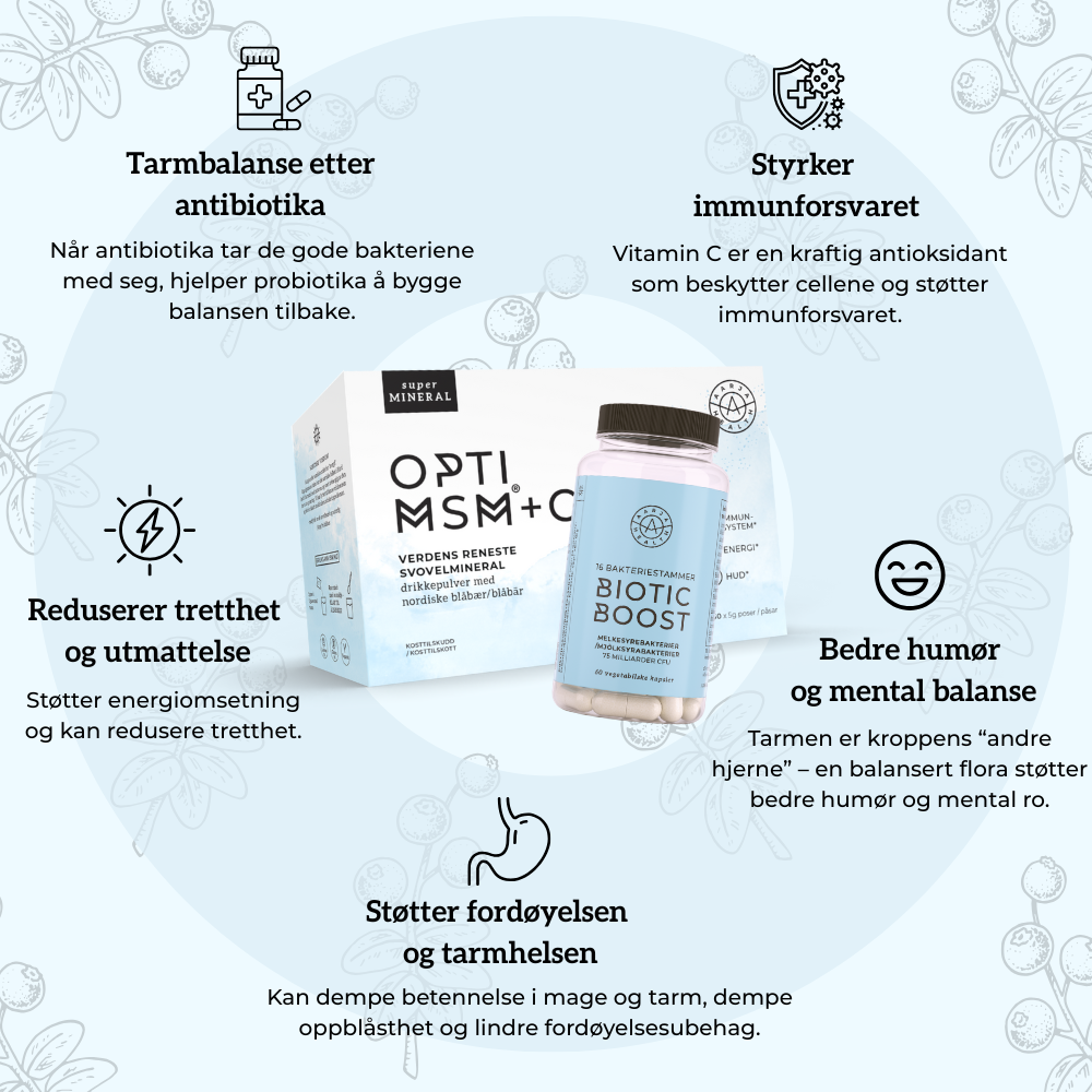 Gut Restore Kit Aarja Health Norge