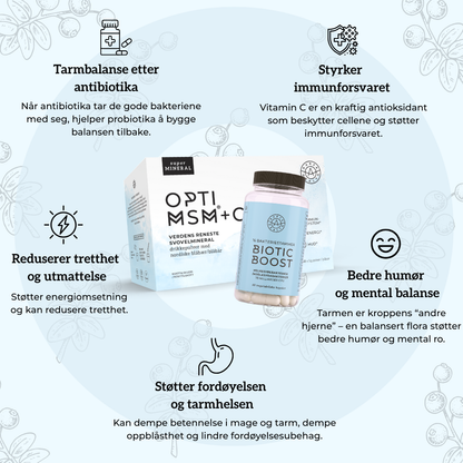 Gut Restore Kit Aarja Health Norge