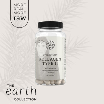 KOLLAGÈNE 2, ACIDE HYALURONIQUE ET ÉCORCE DE PIN